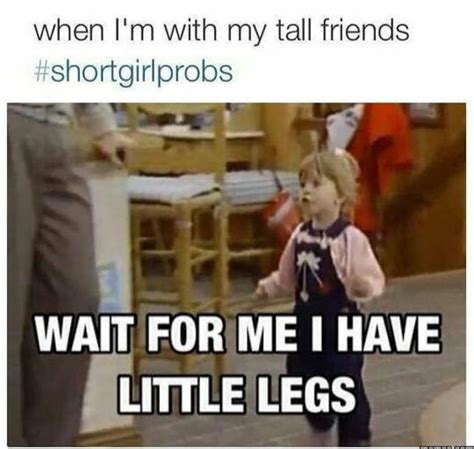 23 Short People Memes That Will Have You Rolling On The Floor - The XO ...