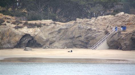 Pirates Cove Beach, Newport Beach, CA - California Beaches