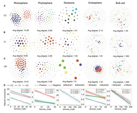 Bacterial Co Occurrence Networks In Different Soil Plant Continuums