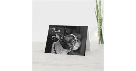 Boston Terrier Thank You Card Zazzle