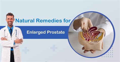 The Ultimate Guide Of Natural Remedies For Enlarged Prostate