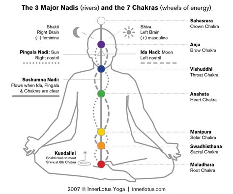 Inner Lotus Yoga The 7 Chakras