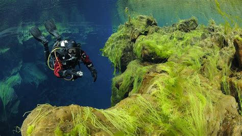 Diving in Silfra Day Tour | Activity Iceland