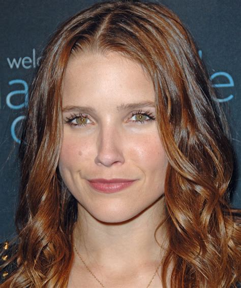 Sophia Bush Hairstyles And Haircuts - Celebrity Hair Ideas