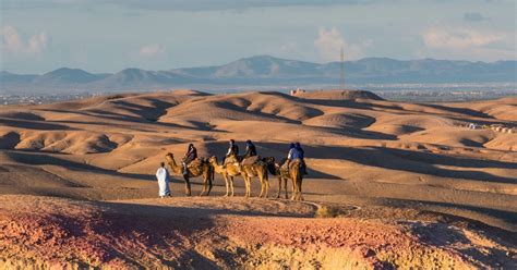 De Marrakech Passeio De Camelo No Deserto De Agafay Ao P R Do Sol