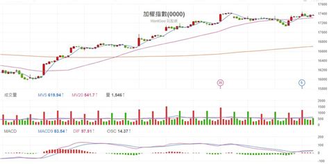 Fed放鴿，大盤即將大漲 布萊恩不想上班的沙龍