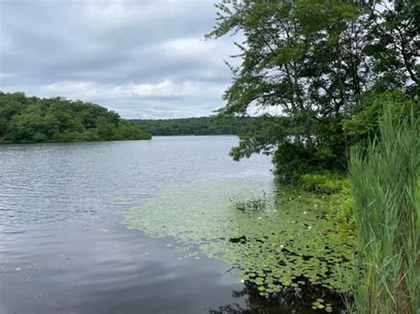 Best 10 Hiking Trails in Ramapo Mountain State Forest | AllTrails