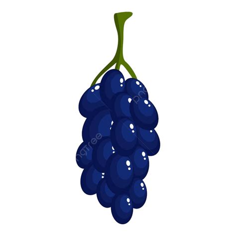 hinh anh bieu tuong chum nho png bo cum ky ten png va vector voi