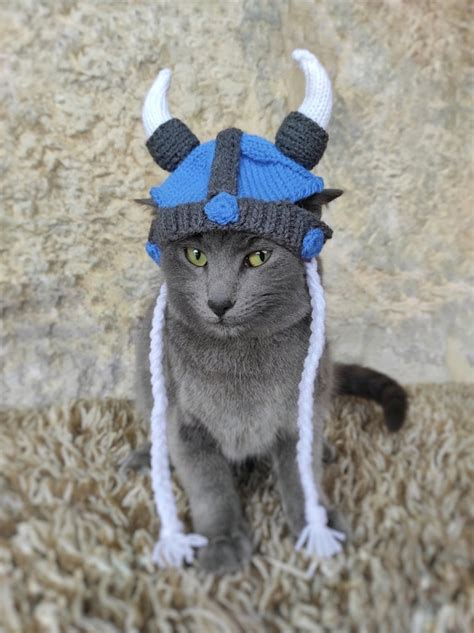 Pet Costume Cat