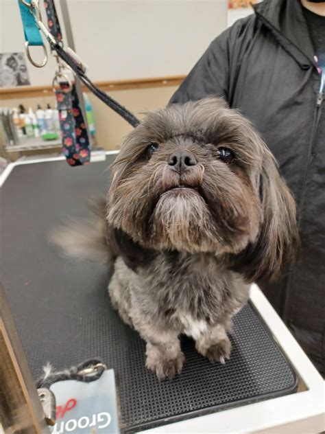 Pet Supplies Plus - Toledo, OH - Talmadge Rd | Toledo OH