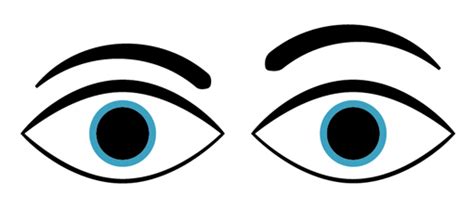 Eyes LOOKING - ClipArt Best