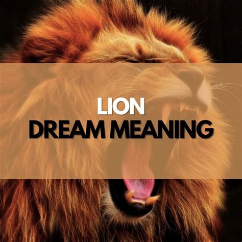 Lion Dream Meaning Symbol Genie