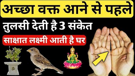 अच्छा वक्त आने से पहले तुलसी देती है 3 संकेत माँ लक्ष्मी आती है घर में Vastu Tips Krishna