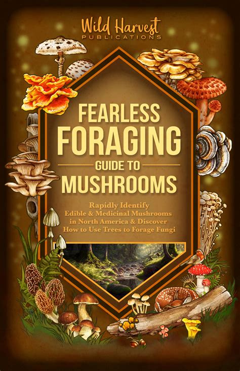 Fearless Foraging Guide To Mushrooms Rapidly Identify Edible And