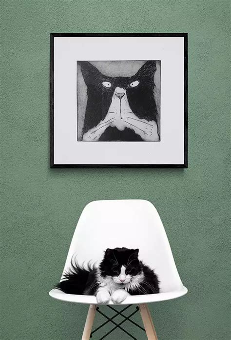 Black And White Cat Prints - Lucy Gell Fun Animal Art