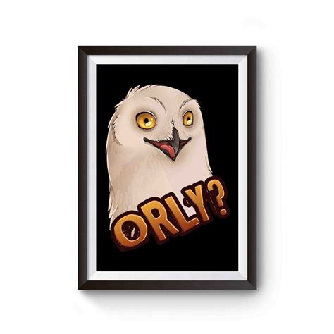 O Rly Owl Meme Joke Funny Poster