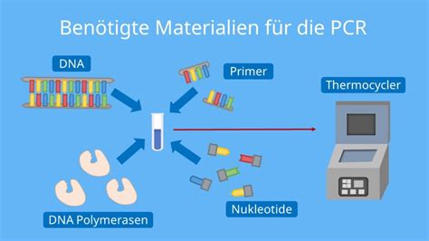 Polymerase Kettenreaktion Pcr Ablauf Und Anwendung Mit Video