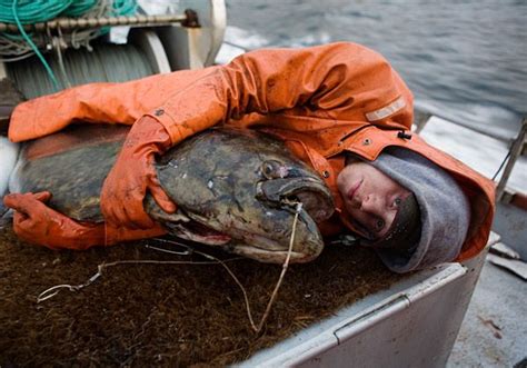 What Is It Like To Be An Alaskan Fisherman 40 Pics