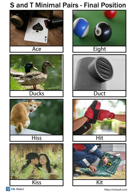 Free S And T Minimal Pairs List And Pictures Esl Vault