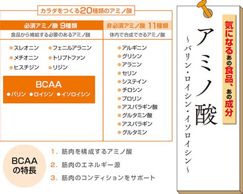 気になるあの食品、あの成分 アミノ酸 健康コラム 健康食品のインシップ 栄養補助食品 サプリメント