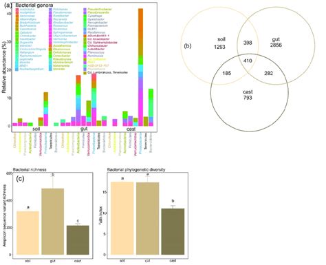 Changes In Composition And Diversity Of Soil Microbiomes During And