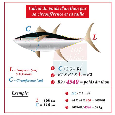 P Che De Le Thon Rouge Informations Techniques Mat Riel