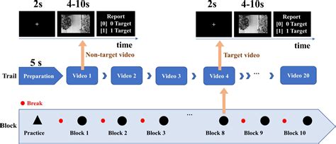 Frontiers SAST GCN Segmentation Adaptive Spatial Temporal Graph