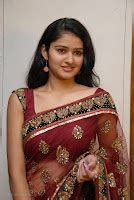 Cute Actress Kausalya Hot Photos In Transparent Saree