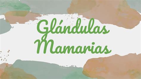 GLÁNDULAS MAMARIAS Cande rv uDocz