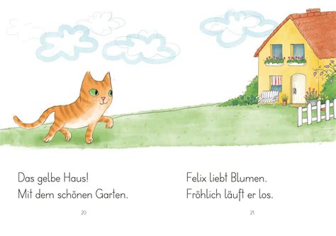 LESEZUG 1 Klasse Kater Felix Findet Ein Zuhause Kinderbuch Und