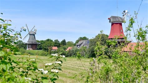 Zwillingsmühlen Greetsiel Flügel sollen wieder dran Spendenkonto