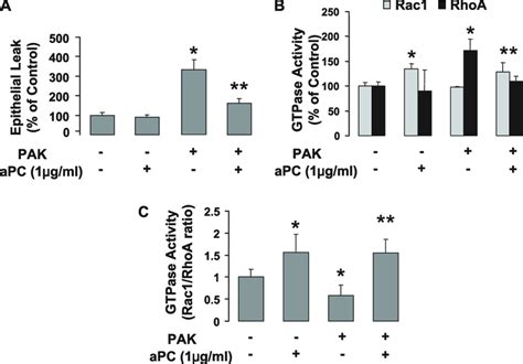 Apc Attenuates P Aeruginosa Induced Increase In Paracellular