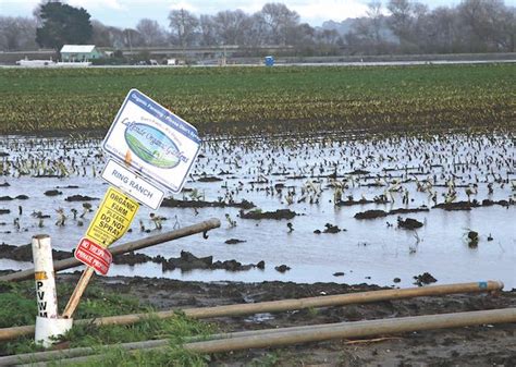 Ag industry reeling from floods - The Pajaronian | Watsonville, CA