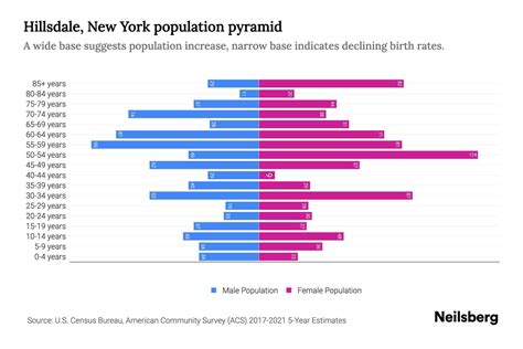 Hillsdale New York Population By Age 2023 Hillsdale New York Age