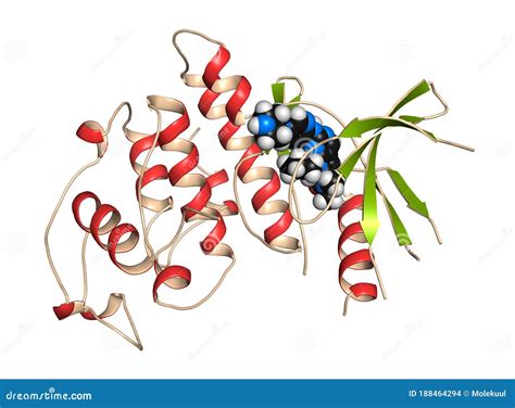 Cyclin-dependent Kinase 6 (CDK6) Bound To the Inhibitor Ribociclib ...