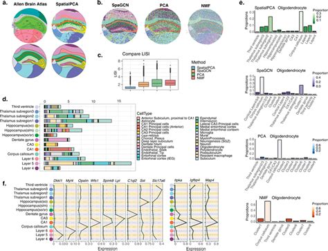 Analysis of the hippocampus data from Slide-seq V2 a Left panel: The ... 