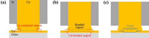 Schematic Of Ultrasonic Bonding Between Cu Bump And Cu Pad A Contact