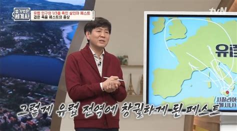 벌거벗은 세계사 장항석 역사 왜곡 논란에 입 열었다 일방적 매도 지나쳐 네이트 연예