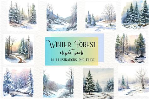 Watercolor Winter Forest Collection Graphic by Aneta Design · Creative ...