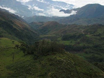 biodiversidad del valle del cauca: flora y fauna del valle del cauca