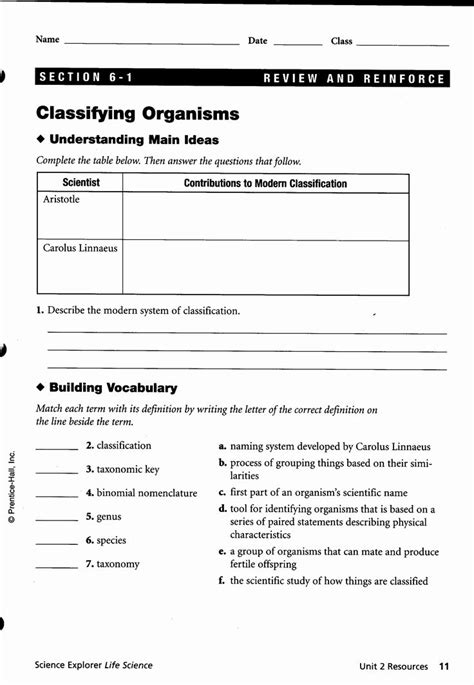 Biological Classification Worksheet Answers Chessmuseum Template