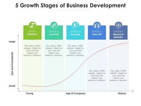 growth stages  business development  graphics