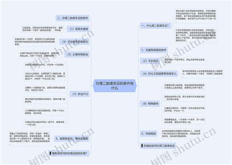 办理二胎准生证的条件有什么思维导图编号p6062000 Treemind树图