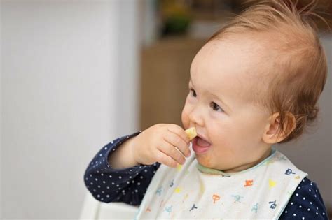 Baby Led Weaning Qu Es El Blw Y C Mo Funciona Soy Estudiante