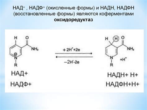 Водорастворимые витамины - online presentation