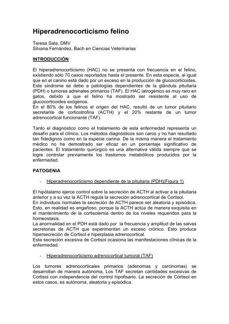 Hiperadrenocorticismo Felino Facultad De Ciencias Veterinarias