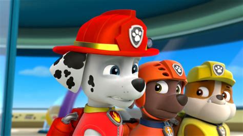 Paw Patrol Marshall Marshall Paw Patrol Puppy Cartoon Paw Patrol