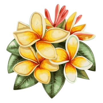 Plumeria Clipart Bouquet Of Yellow Plumeria Flowers Is Depicted Cartoon