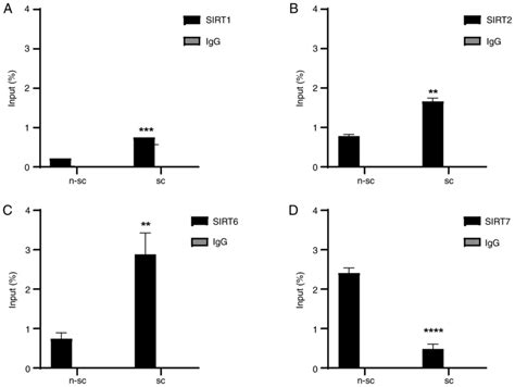 Transcriptional Regulation Of Cdkn A P By Sirtuin In Senescence