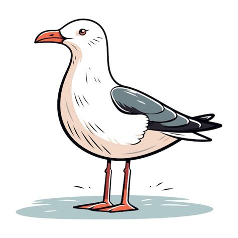 Premium Vector Seagull Vector Illustration Of A Bird On A White